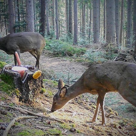 Ferienwohnung Kochs Beeren Oberfresen Eksteriør bilde